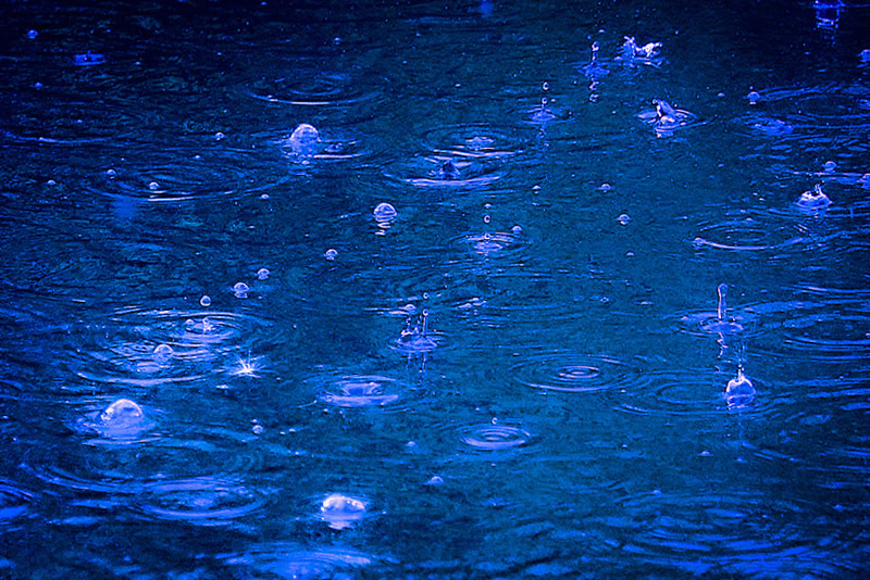 Have You Ever Seem the Rain by Liz Hextall